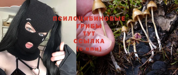 таблы Зеленокумск