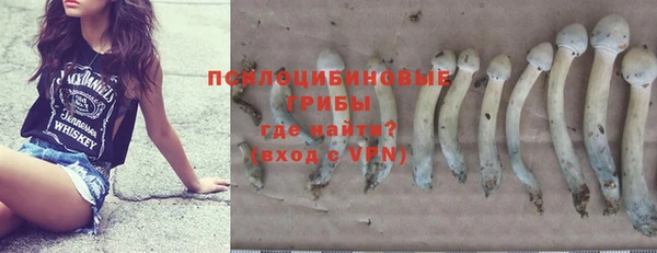 трава Иннополис